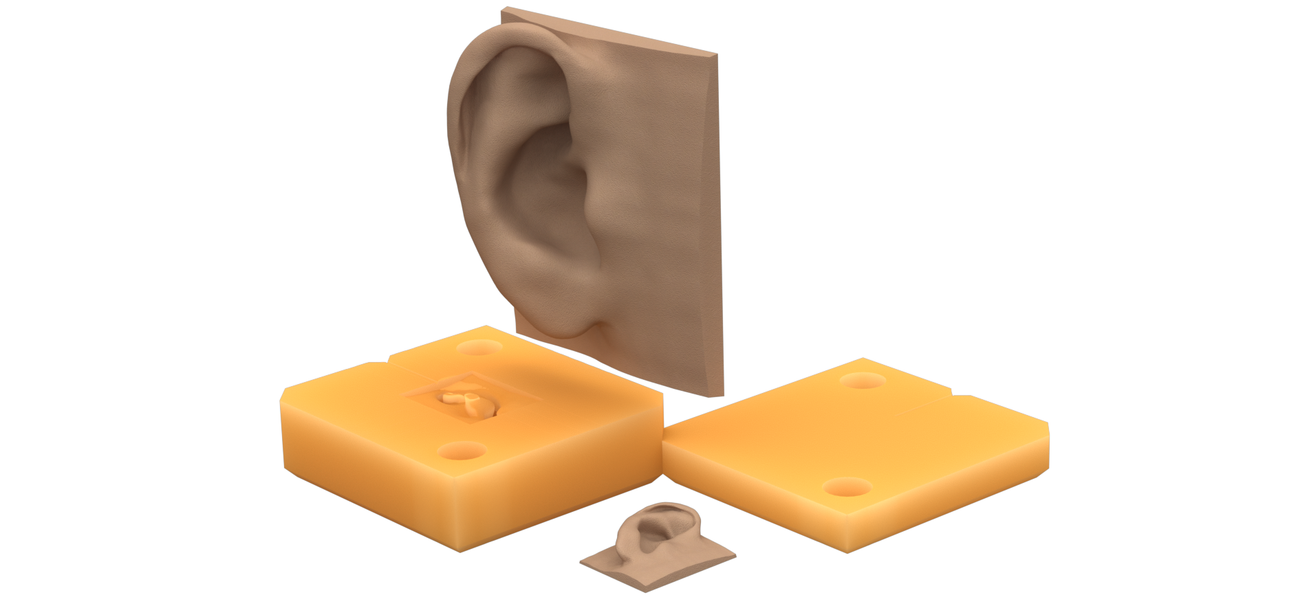 Prosthetic Ear Mold